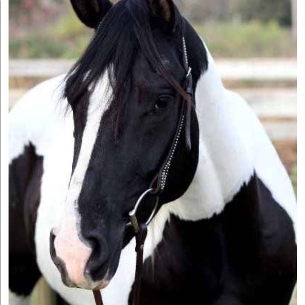 Meet your Posher, Natali